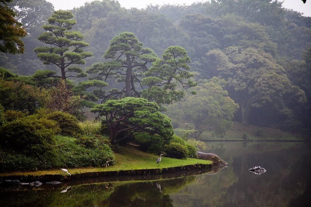 Tora Hotel Tokyo-Rikugienn 寅ホテル 六義園 C Exteriör bild